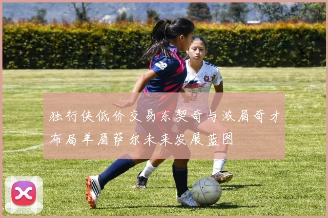 独行侠低价交易东契奇与浓眉奇才布局羊眉萨尔未来发展蓝图